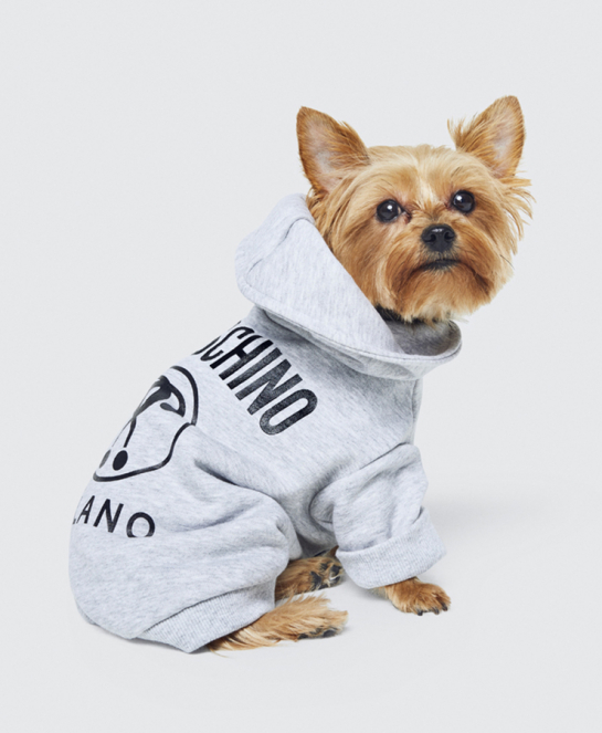 H&m moschino bg top